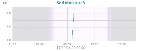 daymoistsoil